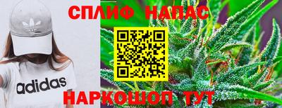 стаф Пушкино