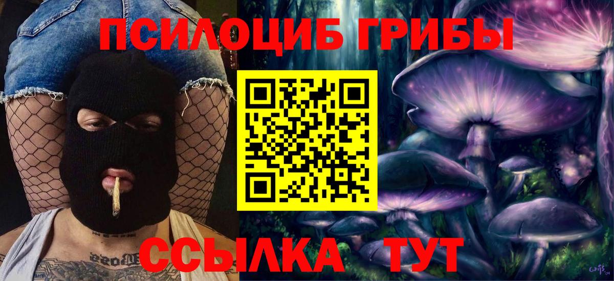 что такое наркотик  Вход с VPN  Сланцы  Псилоцибиновые грибы прущие грибы 